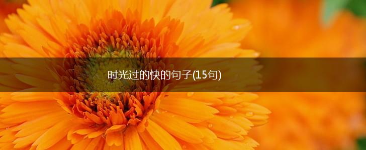 时光过的快的句子(15句),第1张