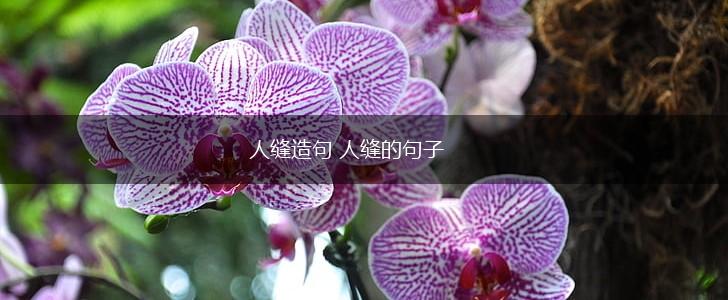 人缝造句 人缝的句子,第1张