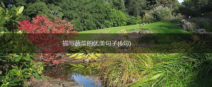 描写蔬菜的优美句子(6句),第1张