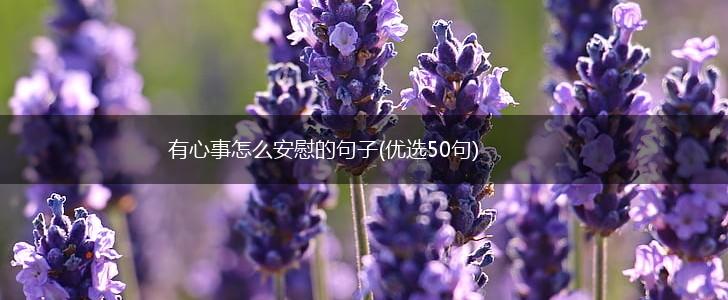 有心事怎么安慰的句子(优选50句),第1张