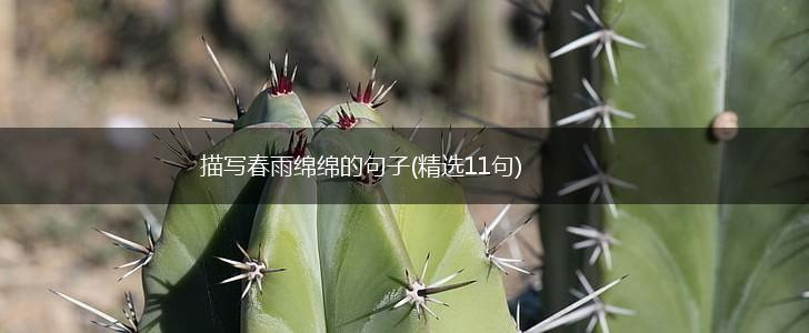 描写春雨绵绵的句子(精选11句),第1张