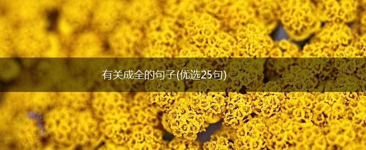 有关成全的句子(优选25句),第1张