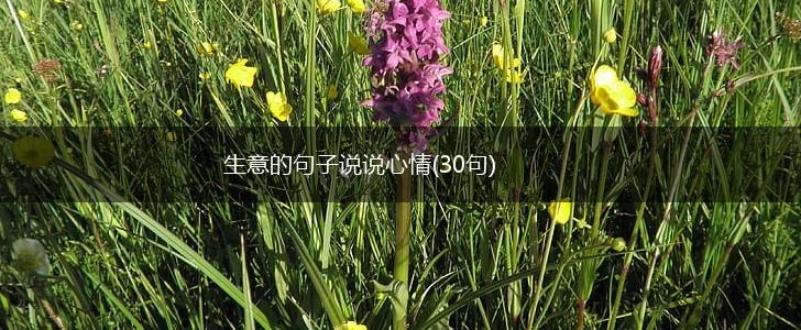 生意的句子说说心情(30句),第1张