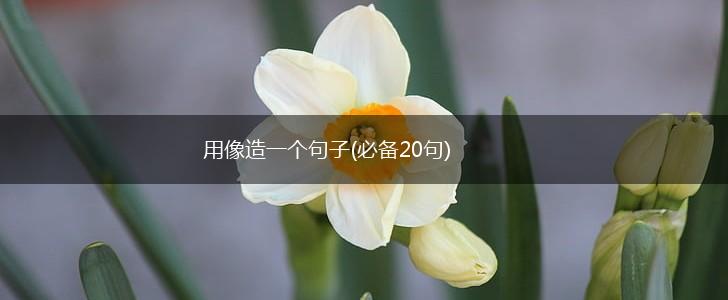 用像造一个句子(必备20句),第1张
