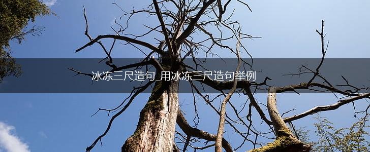 冰冻三尺造句_用冰冻三尺造句举例,第1张