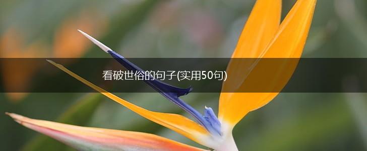 看破世俗的句子(实用50句),第1张