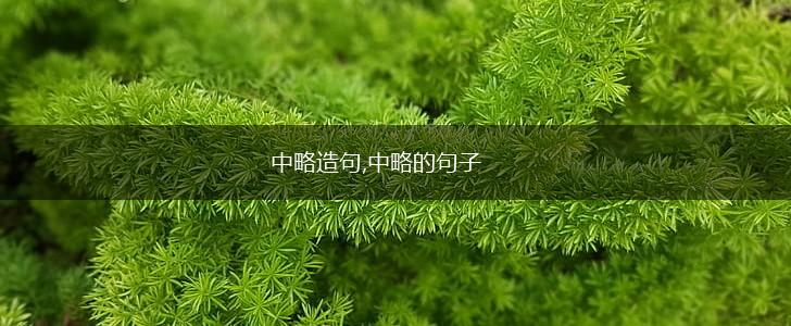 中略造句,中略的句子,第1张