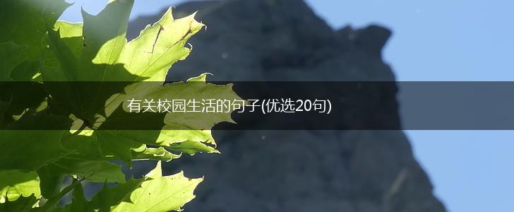 有关校园生活的句子(优选20句),第1张