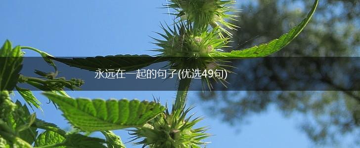 永远在一起的句子(优选49句),第1张