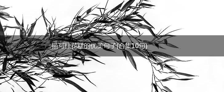 描写桂花糕的优美句子(合集10句),第1张