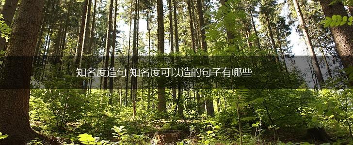 知名度造句 知名度可以造的句子有哪些,第1张