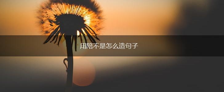 用陪不是怎么造句子,第1张