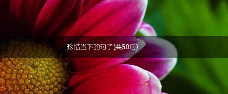 珍惜当下的句子(共50句),第1张