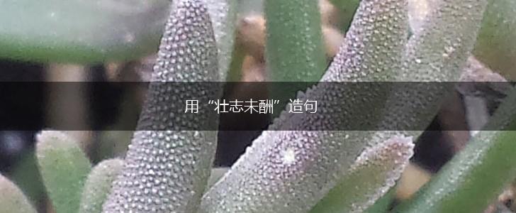 用“壮志未酬”造句,第1张