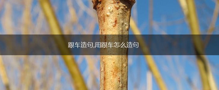 跟车造句,用跟车怎么造句,第1张