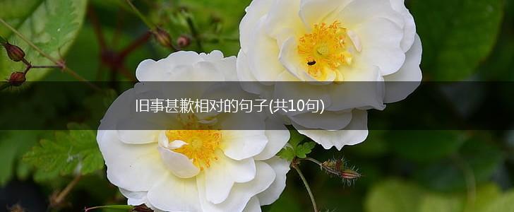 旧事甚歉相对的句子(共10句),第1张