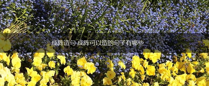 成阵造句 成阵可以造的句子有哪些,第1张