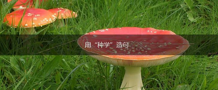 用“种学”造句,第1张