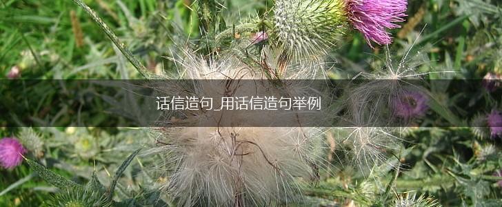 话信造句_用话信造句举例,第1张