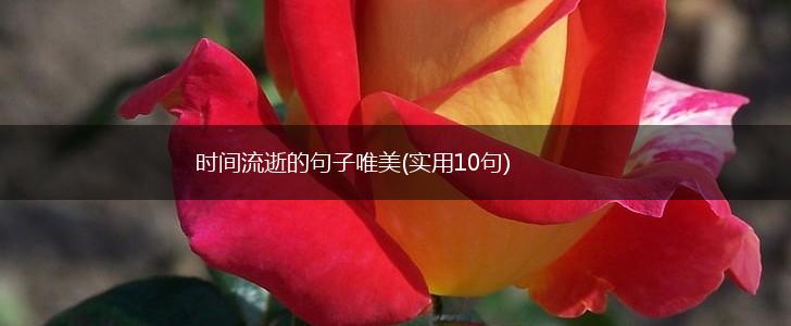 时间流逝的句子唯美(实用10句),第1张