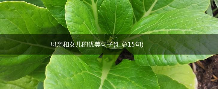 母亲和女儿的优美句子(汇总15句),第1张