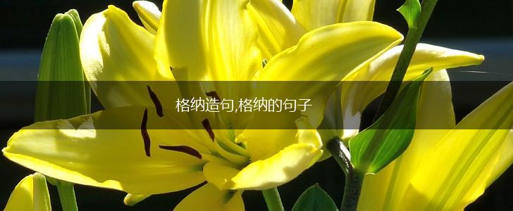 格纳造句,格纳的句子,第1张