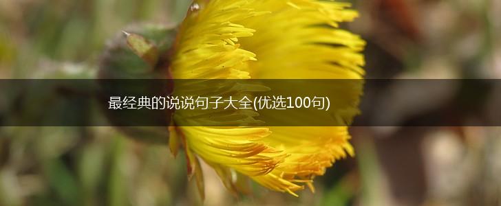 最经典的说说句子大全(优选100句),第1张