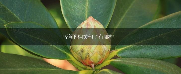 马道的相关句子有哪些,第1张