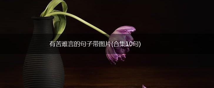有苦难言的句子带图片(合集10句),第1张