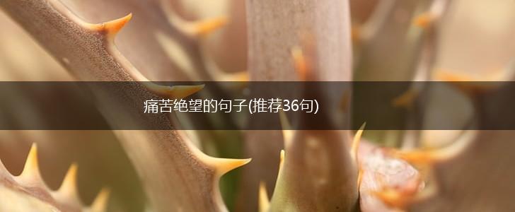 痛苦绝望的句子(推荐36句),第1张