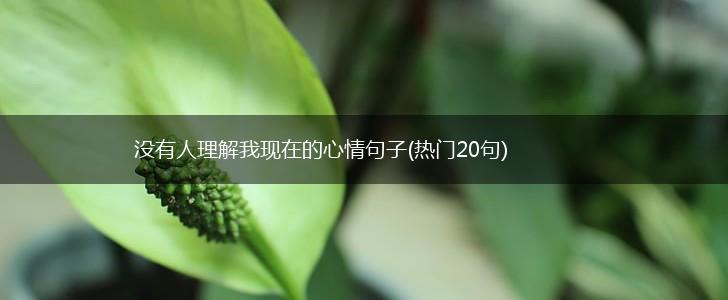 没有人理解我现在的心情句子(热门20句),第1张