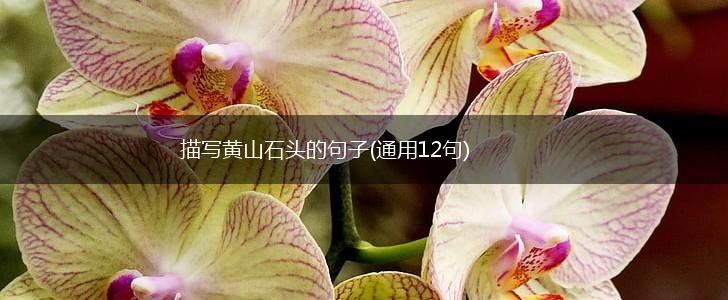 描写黄山石头的句子(通用12句),第1张