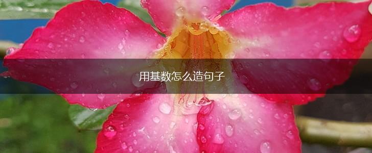 用基数怎么造句子,第1张