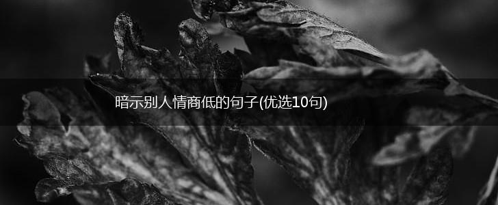 暗示别人情商低的句子(优选10句),第1张
