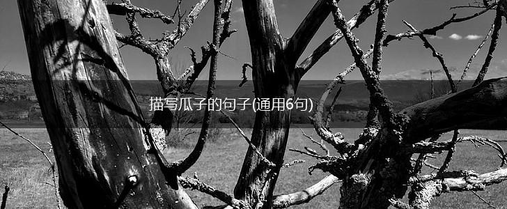 描写瓜子的句子(通用6句),第1张