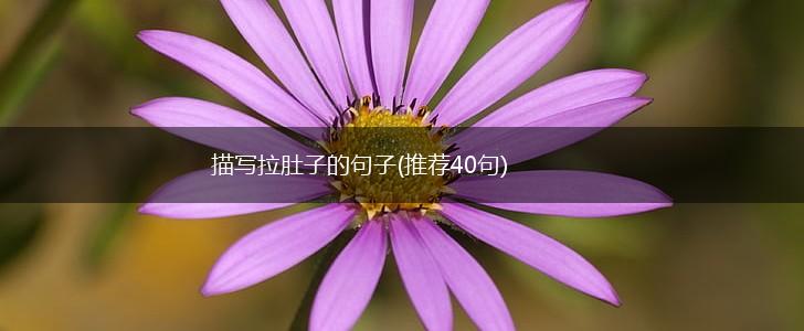 描写拉肚子的句子(推荐40句),第1张