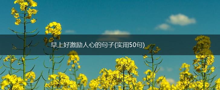 早上好激励人心的句子(实用50句),第1张