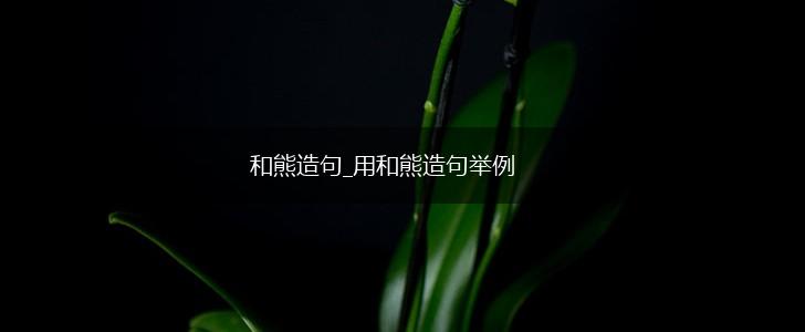 和熊造句_用和熊造句举例,第1张