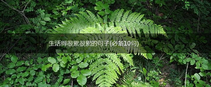 生活得很累很累的句子(必备10句),第1张