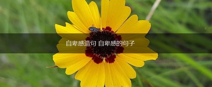 自卑感造句 自卑感的句子,第1张
