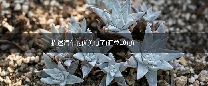 描述汽车的优美句子(汇总10句),第1张