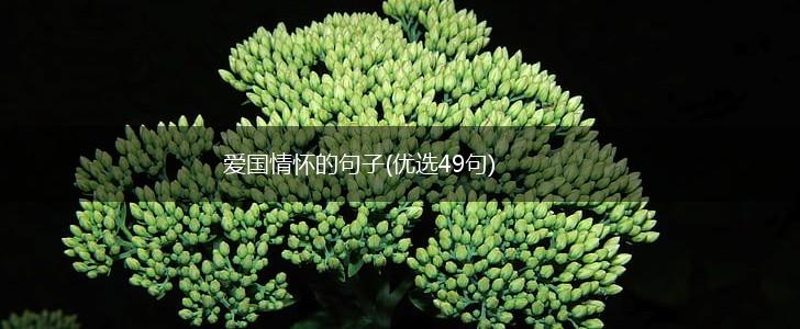 爱国情怀的句子(优选49句),第1张