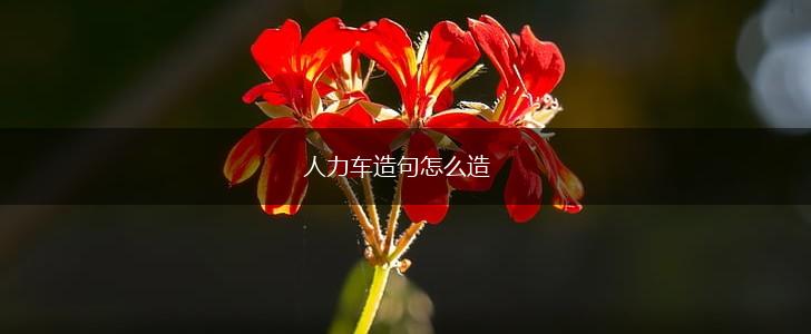 人力车造句怎么造,第1张