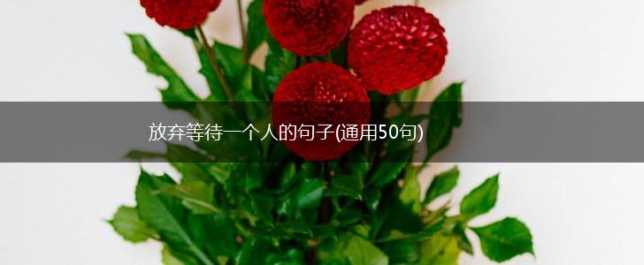 放弃等待一个人的句子(通用50句),第1张