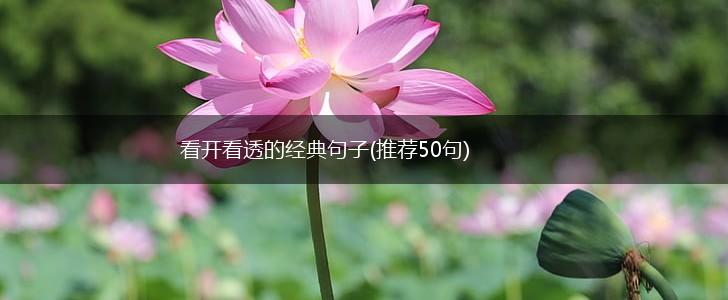 看开看透的经典句子(推荐50句),第1张