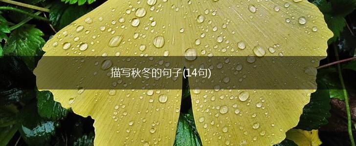 描写秋冬的句子(14句),第1张