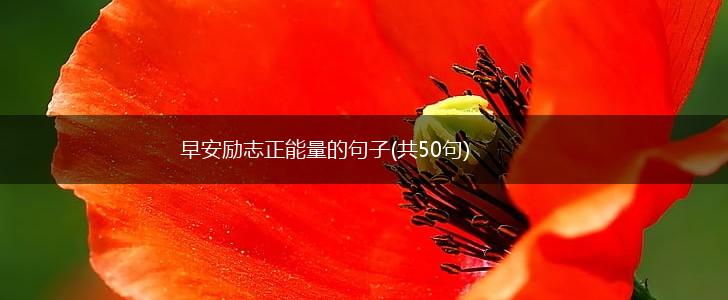 早安励志正能量的句子(共50句),第1张