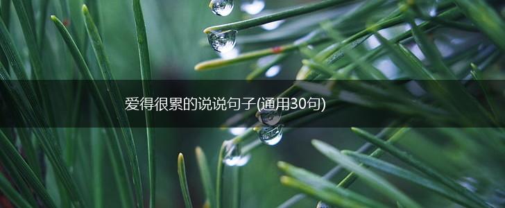 爱得很累的说说句子(通用30句),第1张