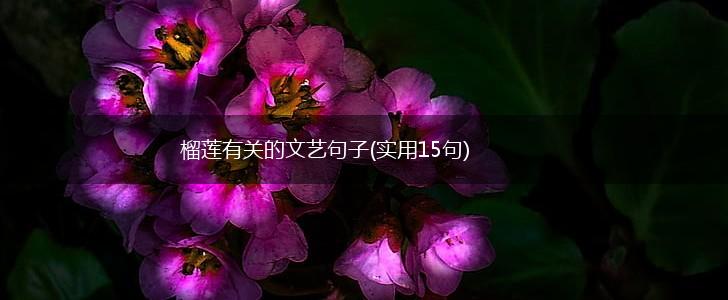 榴莲有关的文艺句子(实用15句),第1张