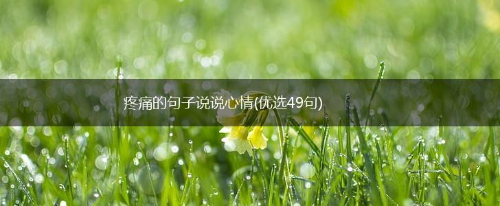 疼痛的句子说说心情(优选49句),第1张